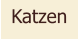 Katzen